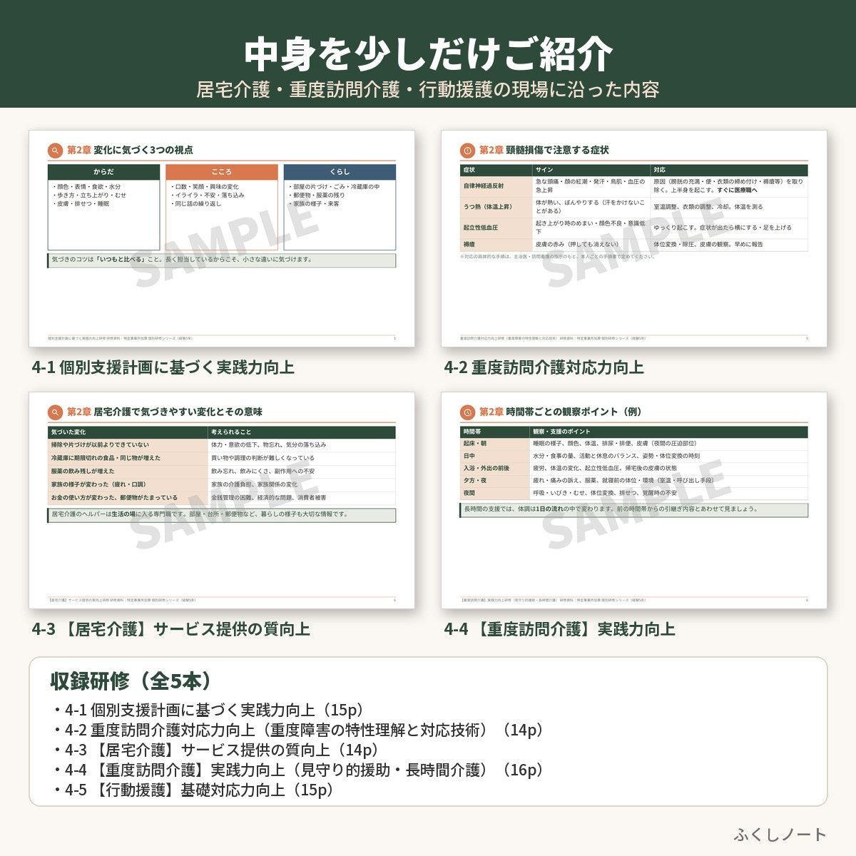 特定事業所加算 個別研修　経験5年セット（研修5本）　サンプル画像（中身紹介）